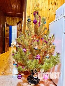 Дом 140м², 2-этажный, посуточно,