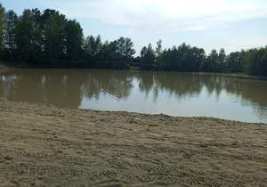 Дом 21м², 1-этажный, участок 6 сот.