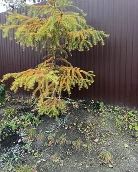 Дом 30м², 1-этажный, участок 6 сот.