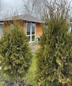 Дом 145м², 2-этажный, участок 9 сот.