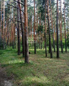 Дом 25м², 1-этажный, участок 10 сот.