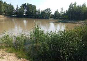 Дача 21м², 1-этажный, участок 6 сот.