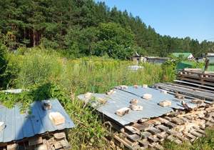 Дача 21м², 1-этажный, участок 6 сот.