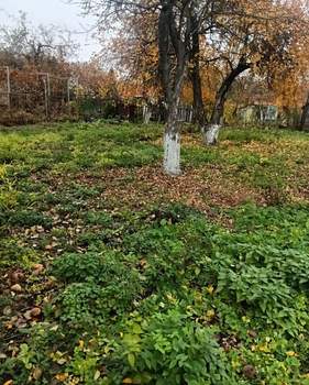 Дом 25м², 2-этажный, участок 6 сот.