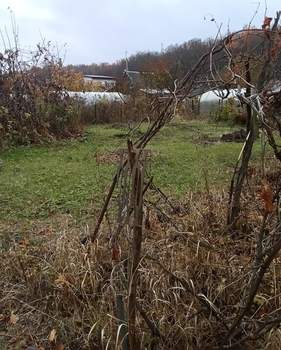 Дом 20м², 1-этажный, участок 7 сот.  