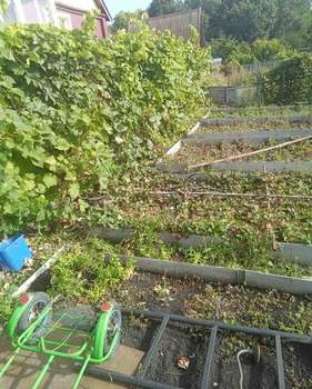 Дом 46м², 2-этажный, участок 5 сот.  