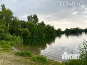 Дом 109м², 1-этажный, участок 12 сот.  