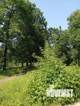 Дом 84м², 2-этажный, участок 4 сот.  