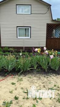 Дом 30м², 2-этажный, участок 6 сот.  