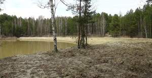 Дом 21м², 1-этажный, участок 4 сот.  