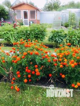 Коттедж 152м², 2-этажный, участок 7 сот.  