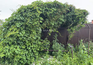 Дом 127м², 2-этажный, участок 10 сот.  