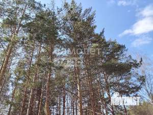 Дом 35м², 1-этажный, участок 10 сот.  