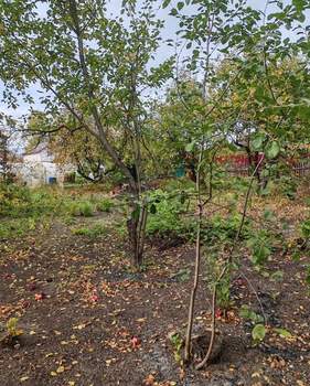 Дом 18м², 1-этажный, участок 6 сот.  