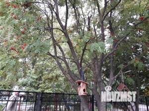 2-к квартира, посуточно, 55м2, 5/9 этаж