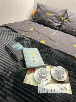 Студия квартира, посуточно, 25м2, 9/10 этаж