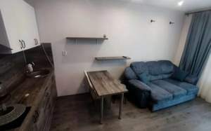 1-к квартира, на длительный срок, 30м2, 5/17 этаж