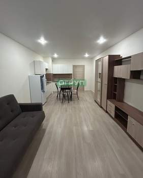 Студия квартира, на длительный срок, 35м2, 13/17 этаж