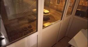 1-к квартира, на длительный срок, 31м2, 2/5 этаж