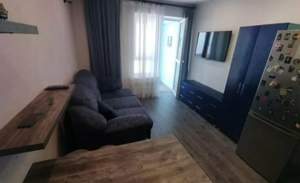 1-к квартира, на длительный срок, 30м2, 5/17 этаж