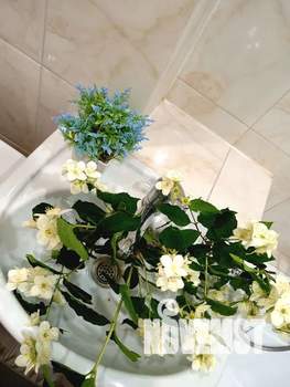 1-к квартира, посуточно, 35м2, 2/5 этаж