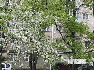 3-к квартира, вторичка, 54м2, 5/5 этаж