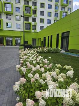 1-к квартира, вторичка, 44м2, 7/17 этаж