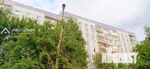 3-к квартира, вторичка, 66м2, 5/9 этаж