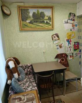 1-к квартира, вторичка, 27м2, 3/9 этаж