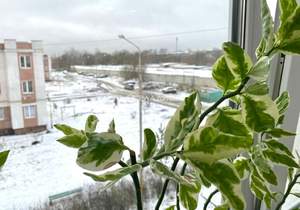 1-к квартира, вторичка, 29м2, 3/3 этаж